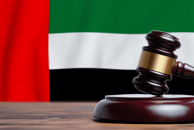 UAE Flag and Law