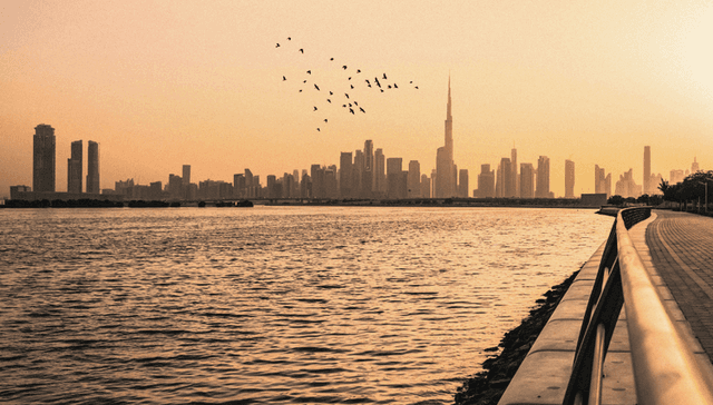 Why Should You Invest in Dubai Real Estate.png