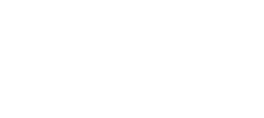Developer Image
